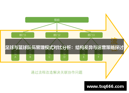 足球与篮球队伍管理模式对比分析：结构差异与运营策略探讨