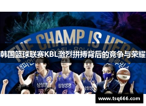 韩国篮球联赛KBL激烈拼搏背后的竞争与荣耀